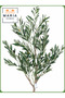 شجرة زيتون صناعية 130 سم – نبات زينة داخلي مع وعاء بني - 2