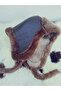 100% Sheepskin Eared Ushanka Genuine Lambskin Pilot Hat - 5