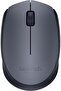 Wireless Mouse M170 - Gray