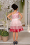 D' Daniela - Emelly Dark Pink Colorful Party Dress - 3