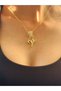 Zircon Stone-Engraved Steel Women's Necklace 24 cm - 2