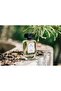 Swiss Arabian Jasmine and Honey Eau de Parfum, 100ml, Unisex - 6