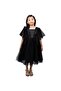 Dragonfly dress with sequins Black
