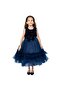 D' Daniela - Flared Tutu Dress - Blue