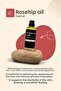 Rosehip Oil 100 ml - Natural Skin Care Oil - 2
