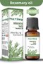 Rosemary (Anti-Hair Loss and Anti-Dandruff) Herbal Essential Oil 20 ml