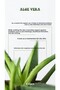 Repairing Effective Spf 30 Sunscreen Cica Face and Body Cream (50 Gr) - 3