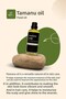 Tamanu Oil 100 ml - Cold Pressed Skin and Hair Care Oil - 2