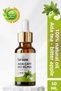 Sage Bitter Apple Oil Cold Pressed 100% Pure and Natural Sage Bitter Apple 10ml