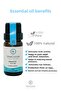 Eucalyptus Essential Oil - Comfortable and Stylish Design - 4