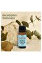 Yogaroma 10 ml Refreshing Aromatherapy Oil - Pure and Natural Eucalyptus Essential