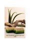 صابون الألوة فيرا بألياف اليقطين 130 جرام - 2