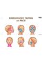 Face Lift Tape-5 Mt - 3