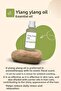 Ylang Ylang Oil 50 ml - Aromatherapy Oil - 2