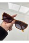 Pradix Leopard Sunglasses Cateye Black Organic Glass - 2