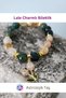 Natural Stone Bracelet with Tulip Charms – Certified - Agate - Citrine - 5