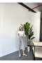 Women's Large Size High Waist Linen Look 100% Cotton Capri W203 - 6