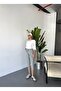 Women's Large Size High Waist Linen Look 100% Cotton Capri W203 - 2