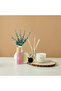 Aromabotanical Pink Freesia and Rose Wax Fragrant Disc - 4