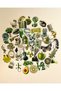46Pcs Green Coquette Sticker Set Journal Agenda Planner Laptop Phone Tablet Decal Sticker