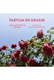 Roll-on Eau de Toilette - Enchanting Rose 10ml - 6