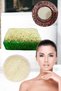 Set of 3 Pumpkin Fiber Soap Tea Tree Peeling Blemish Acne Rushur Stone Fiber Facial Scrub