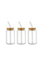 3pcs Glass Mason Jars,Drinking Glass with Bamboo Lids and Glass Straw- Glass Tumbler,500ml