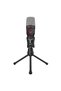 Microfon Gaming Cu Trepied