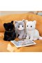 Cute Cat Plush 26cm - 2