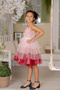 D' Daniela - Emelly Dark Pink Colorful Party Dress - 2