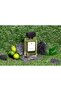 عطر سويس أربيان برغموت وباتشولي للرجال أو دو بارفان 100 مل - 4