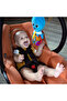 Activity Arms Octopus Take-Along Toy,0 - 36 months - 2