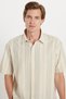 Men's Relax Fit Relaxed Fit Short Sleeve Striped Sports Collar Shirt