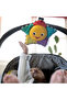 Star Bright Symphony Take-Along Toy, 0-36 Months - 5