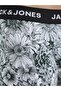 JACADRIAN FLOWER TRUNKS 3 PACK - 2