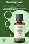 Rosemary Essential Oil 100% Natural Pure 10 ml - 2