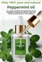 30ml Pure Peppermint Oil Natural 100% Pure Essential Oil Mentha Piperita - 2