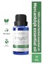 Clove Essential Oil – Sweet Marjoram 100% Pure and Natural Herbal Essential Oil 10 ml