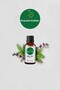 Peppermint Oil 20 ml - Pure Essential Oil Air Freshener Censer Essence - 5
