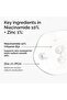 Niacinamide 10% Zinc 1% (60 ML) - 2