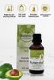 Persea Americana Avocado Oil - Hair and Skin Care - 50 ml
