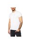 Basic STRETCH Erkek T-SHIRT