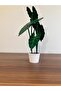 Alocasia Frydek Coaster (Green)