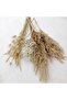 Dry Flower Vase Flower Pamapas Palm Leaf - 5