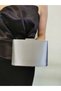Women's Satin Platinum Evening Dress Shiny Chain Wedding Night Party Bag