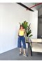 Women's Large Size High Waist Linen Look 100% Cotton Capri W203 - 6
