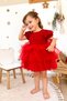 Baby Girl Dress Girls' Dress Birthday Party Wedding Dress Lace Short Sleeve Lined Dress - 5