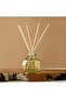 Scent.d Amber Blossom Reed Diffuser - 100 ml