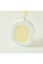 Aromabotanical Pink Freesia and Rose Wax Fragrant Disc - 3