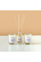Elements English Oak & Blackcurrant Reed Diffuser and Jar Candle Set - 2
